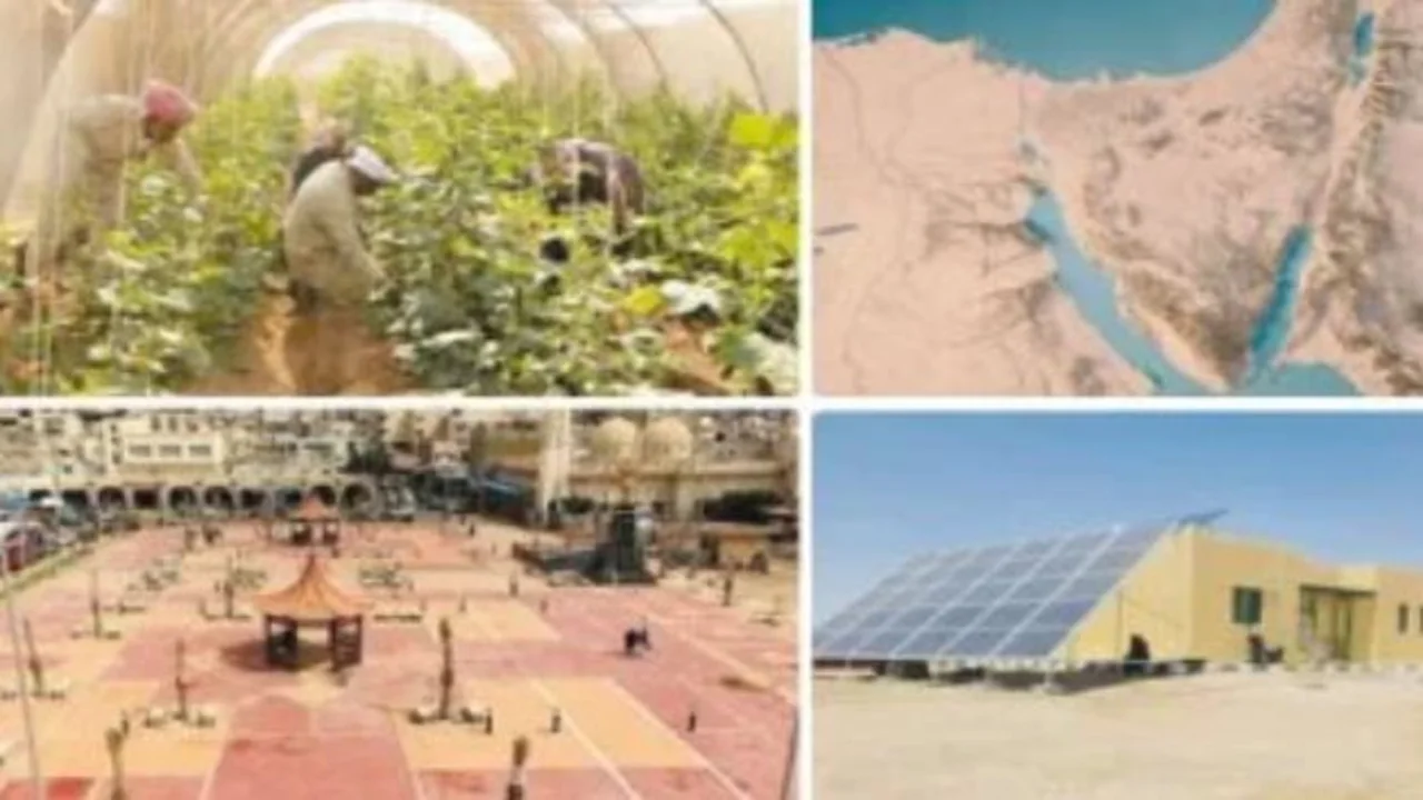 خبير دولي: مصر حققت إنجازًا أمنيًا كبيرًا بالقضاء على الإرهاب في سيناء